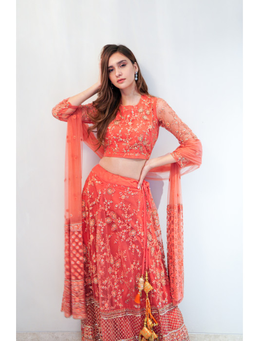 Punch pink net lehanga with silver sequins and exclusive embroidery