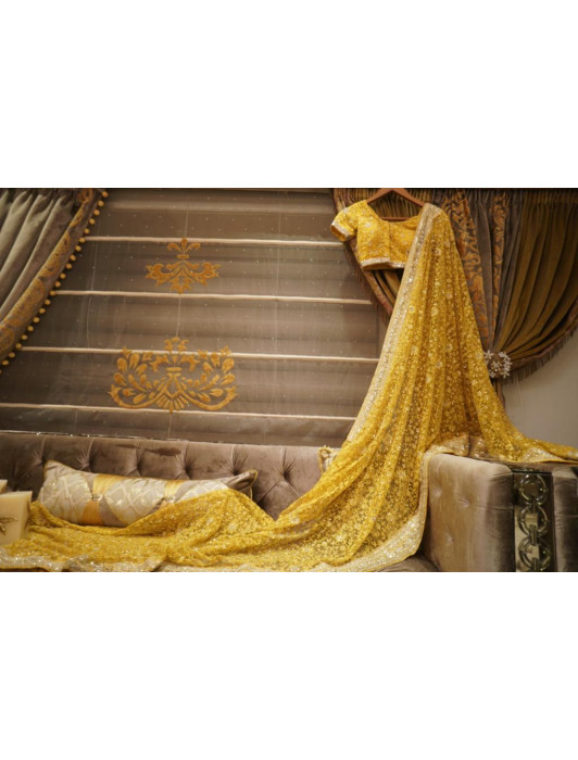 Pineapple yellow net saree with silver sequins embroidery and border