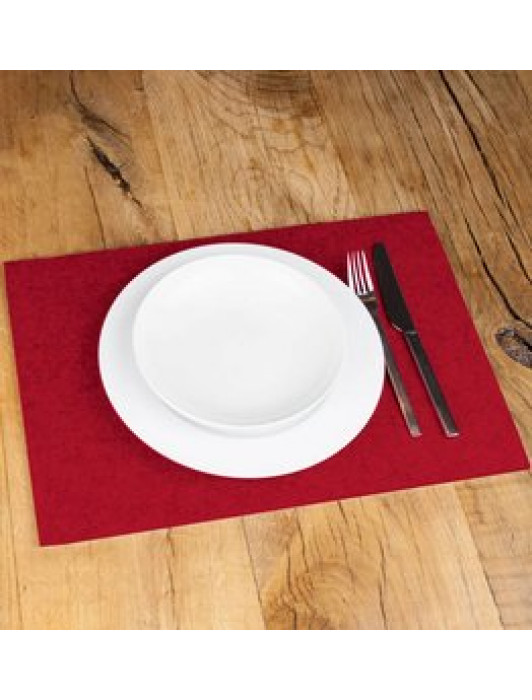 OON Felt Dinning Placemats  Set of 6 for Home 